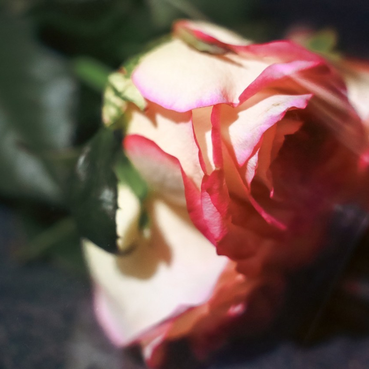 Отзывы. Портретный фотограф Панферова Регина г. Санкт-Петербург, г. Казань