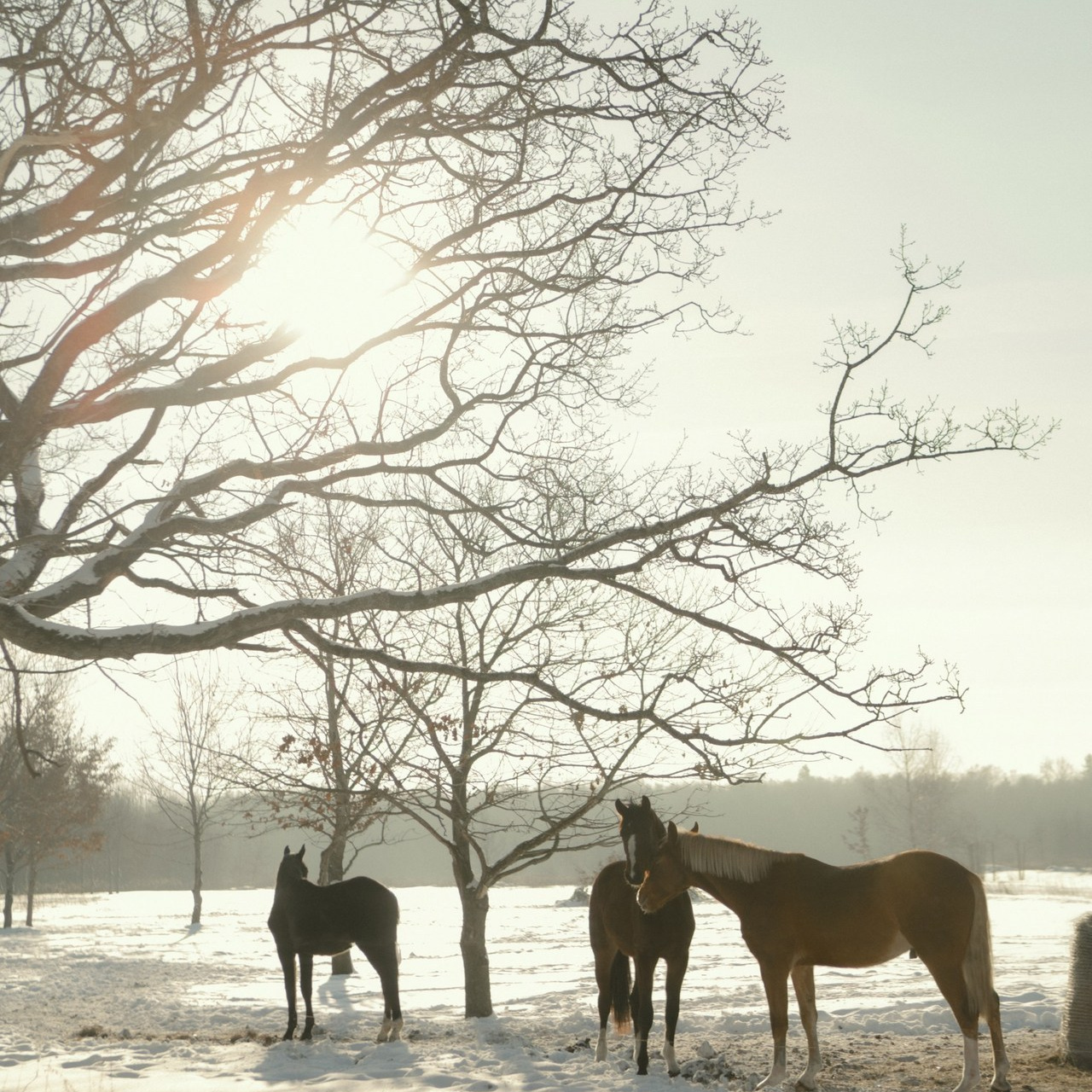 Отзывы. Фотограф Дагестан KATE KLEBLEEVA