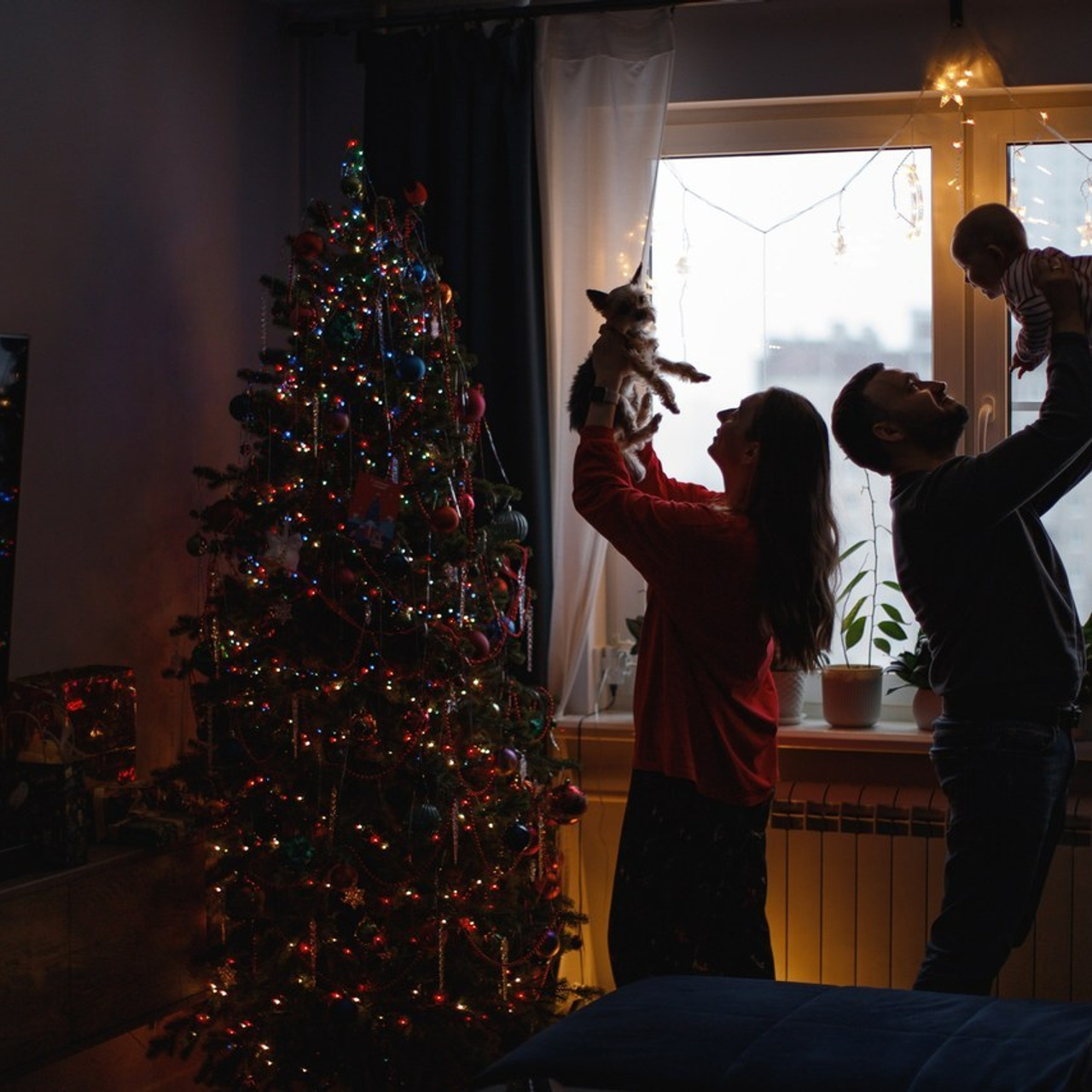 Отзывы. Фотограф в Санкт-Петербурге Ольга Староверова