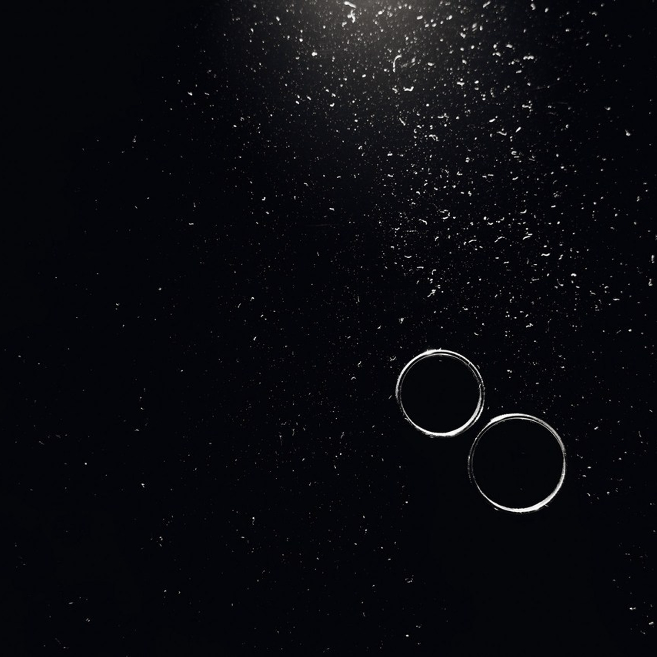 Отзывы. Павел Мерк. Стильная свадебная фотография