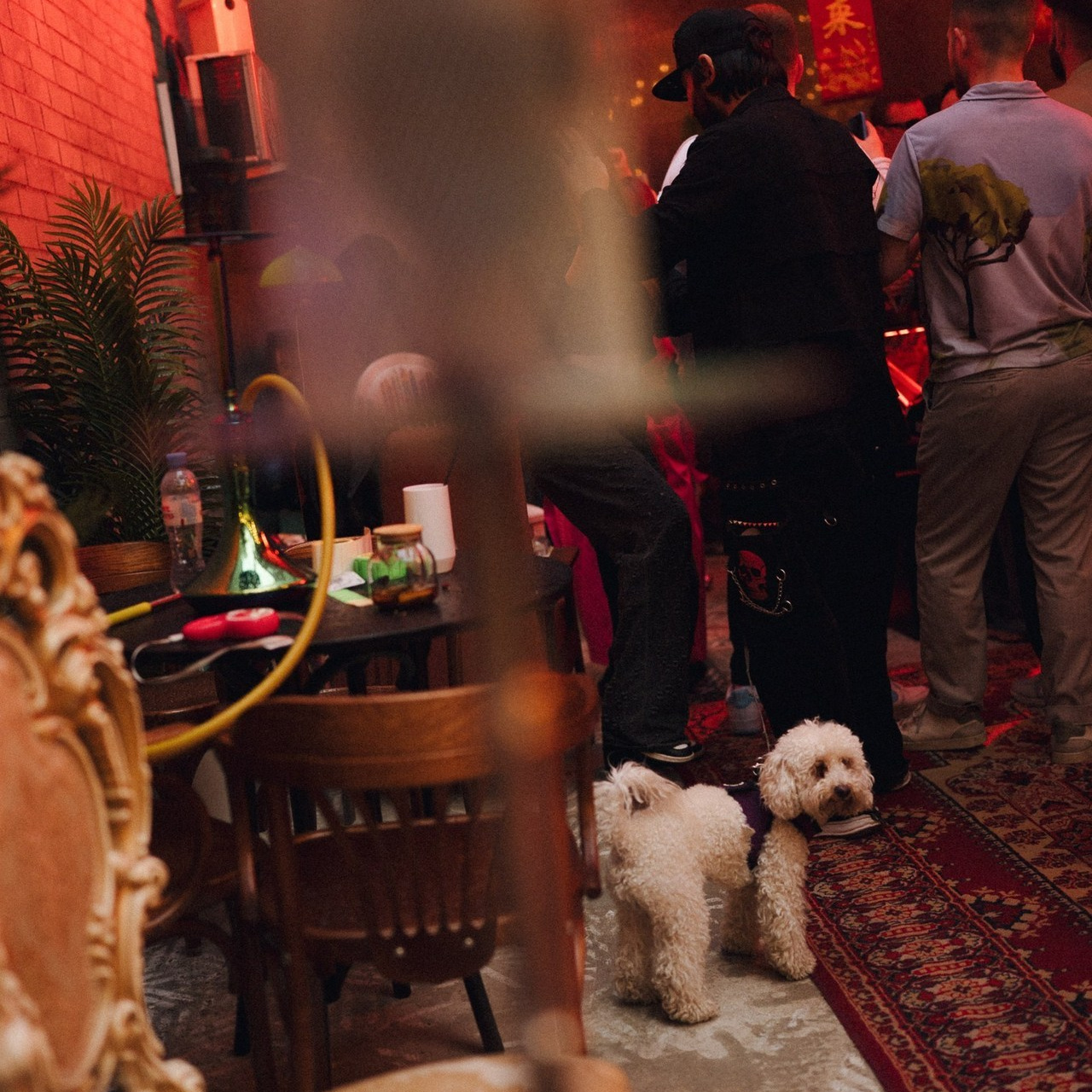 Отзывы. Павел Мерк. Стильная свадебная фотография