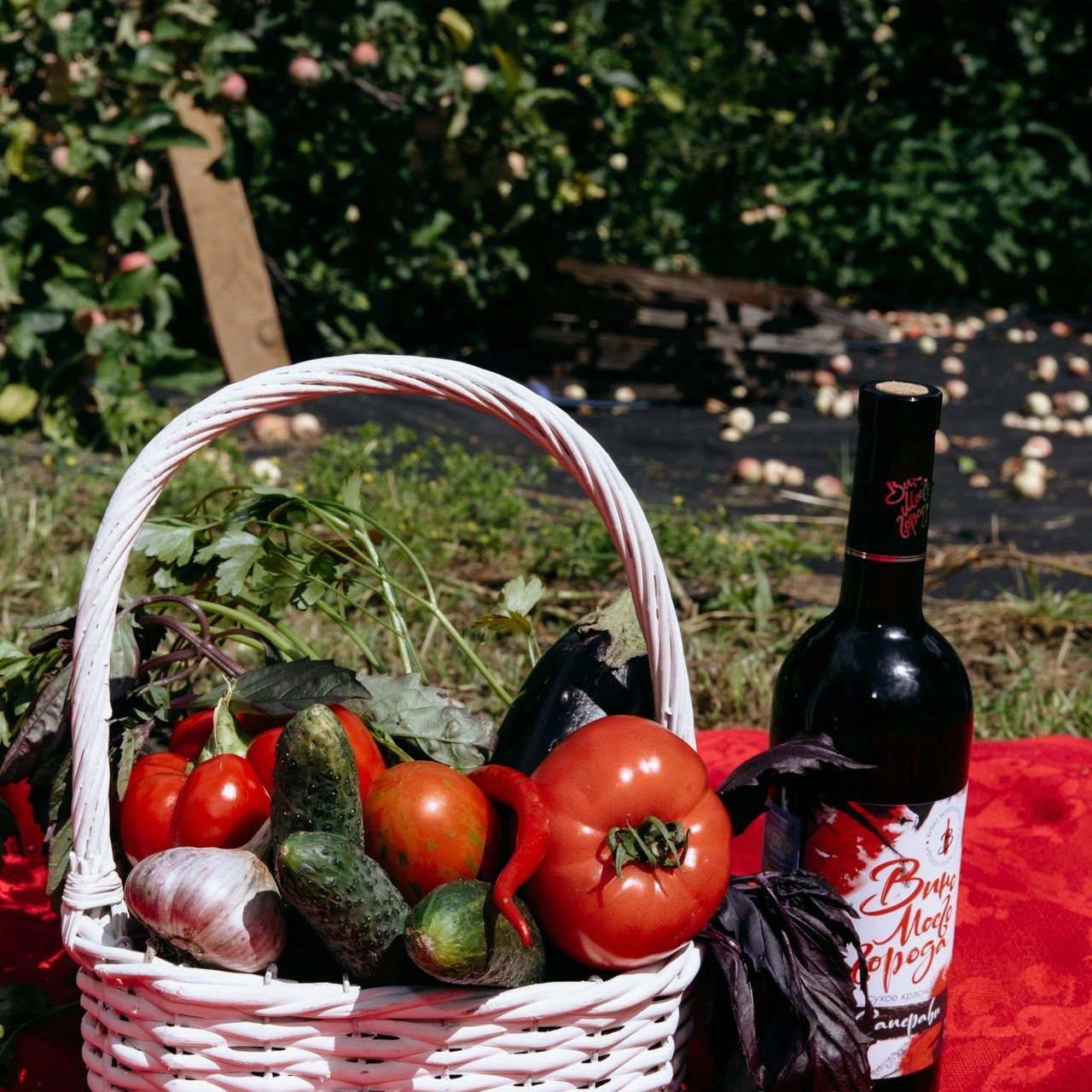 Отзывы. Главная