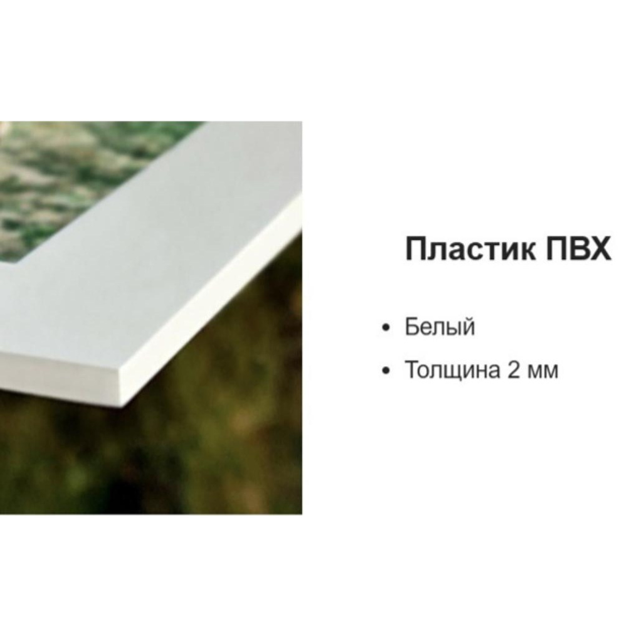 Общее фото на пластике 20×30