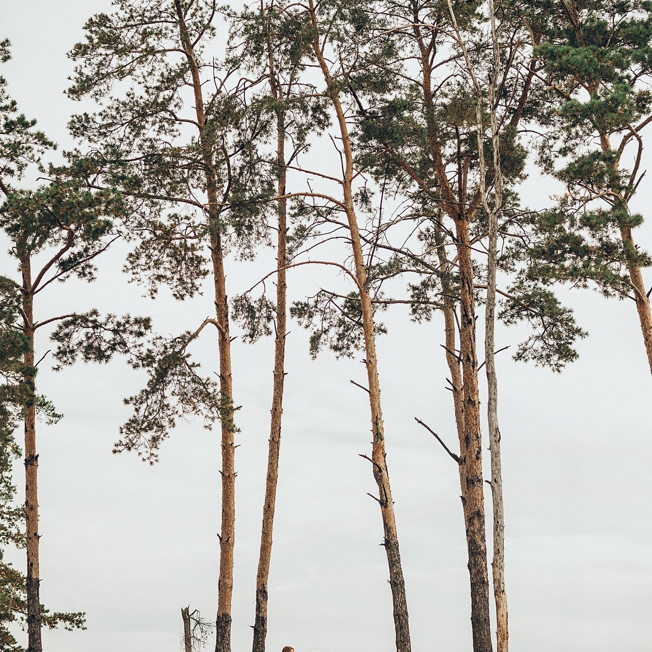 Отзывы. Ваш фотограф Ирина Гущанская