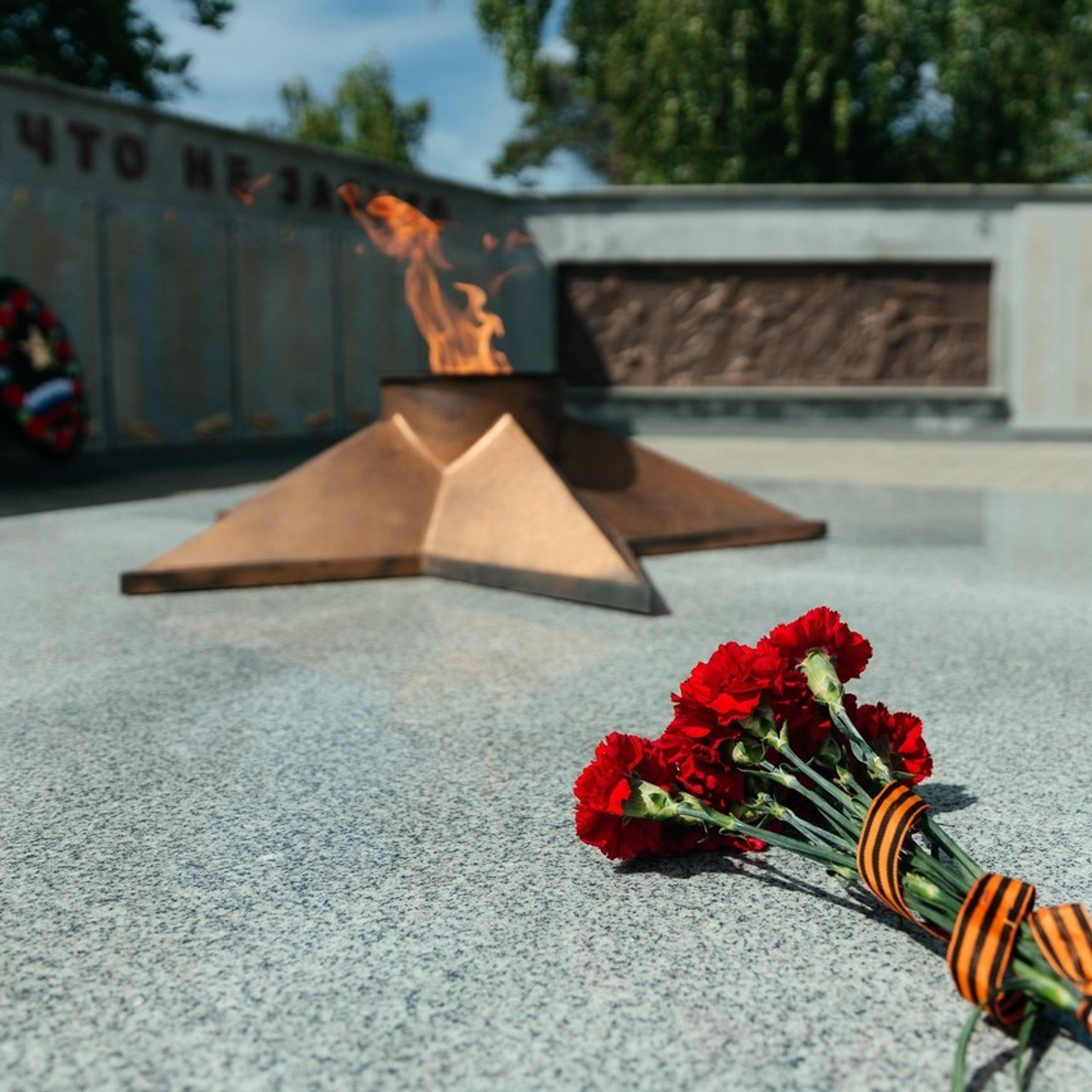 Отзывы. Фотограф Алиса Котанова