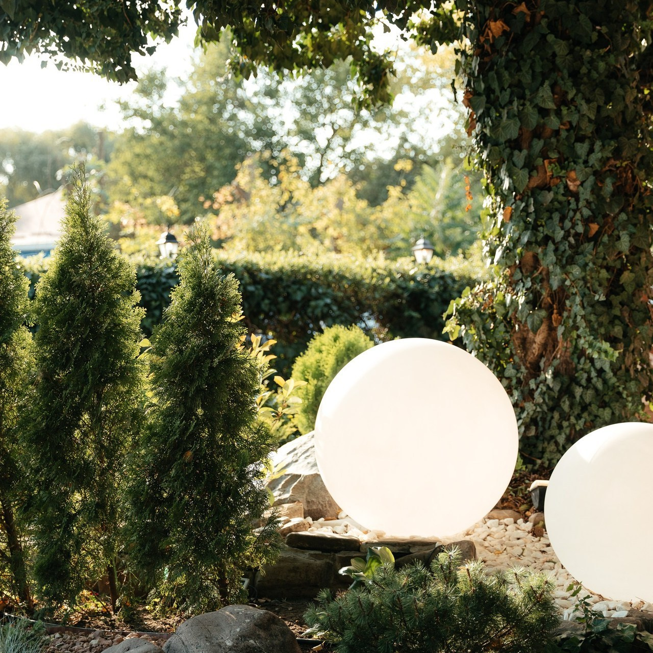 Отзывы. Фотограф Алиса Котанова