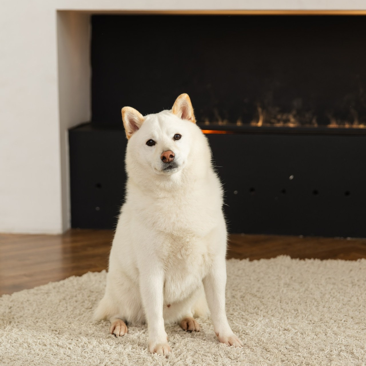Отзывы. Свадебный фотограф в Санкт-Петербурге
