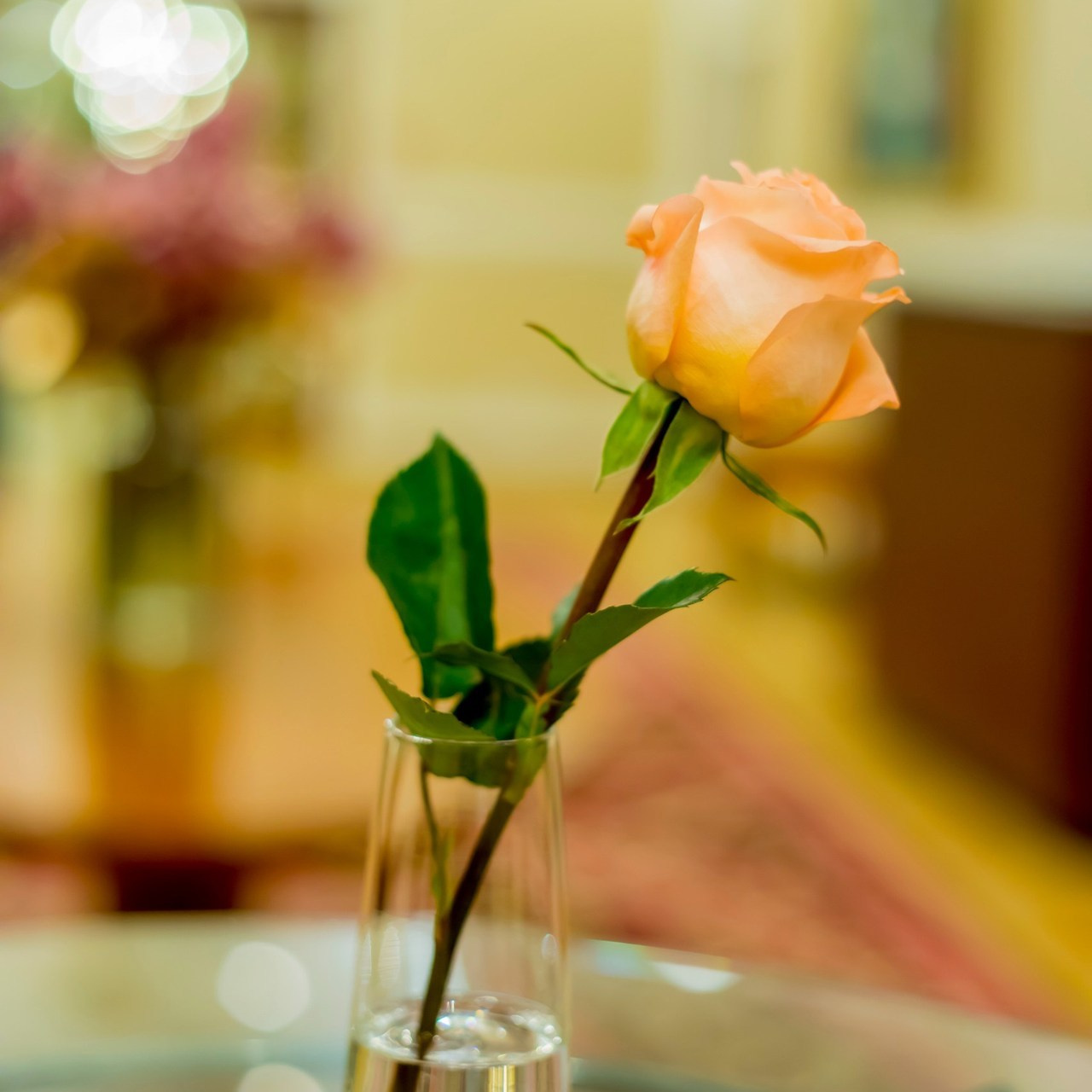 ОТЗЫВЫ. Фотограф Александра Степанова