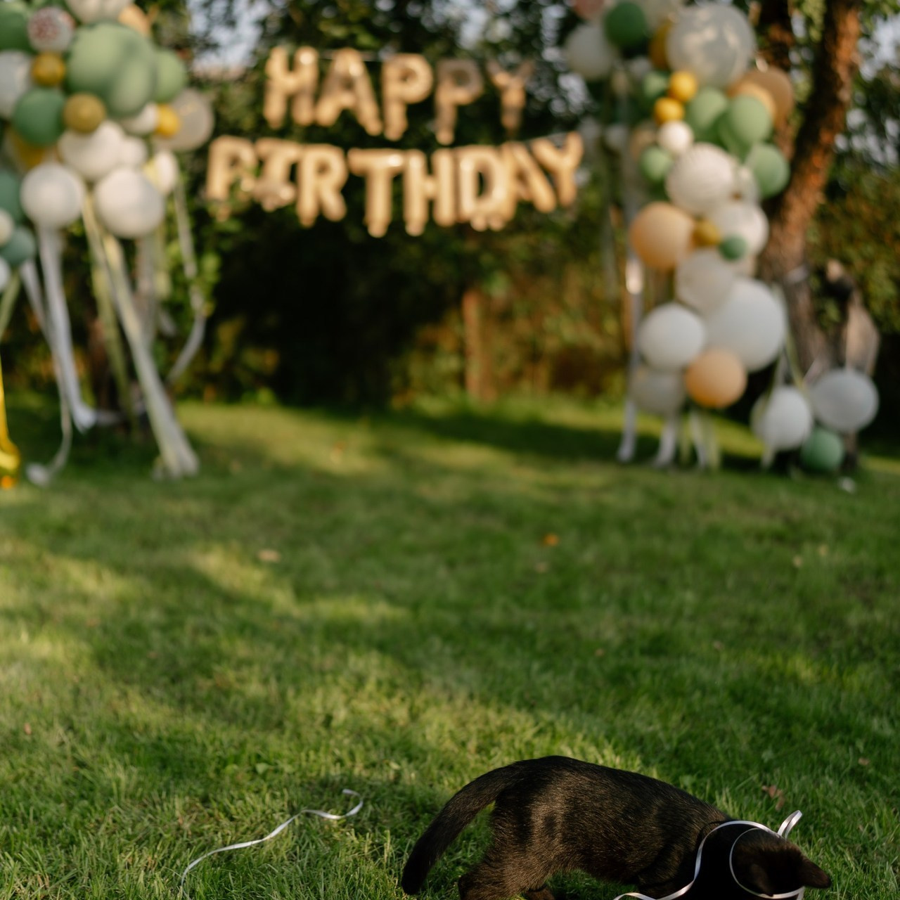 Отзывы. Семейный и свадебный фотограф в Красногорске Анастасия Тихонова