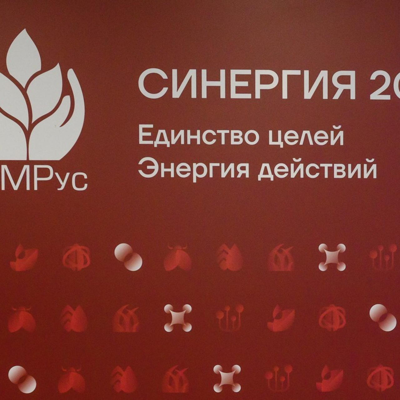 Отзывы. Профессиональный фотограф Вячеслав Плацында | Липецк |