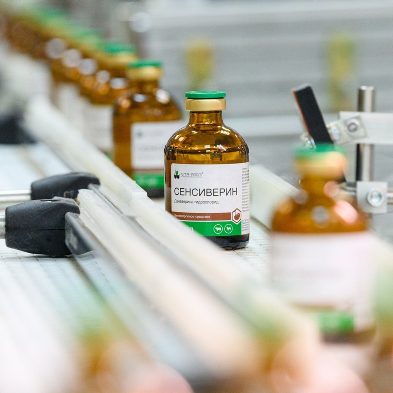 Отзывы. Профессиональный фотограф Вячеслав Плацында | Липецк |