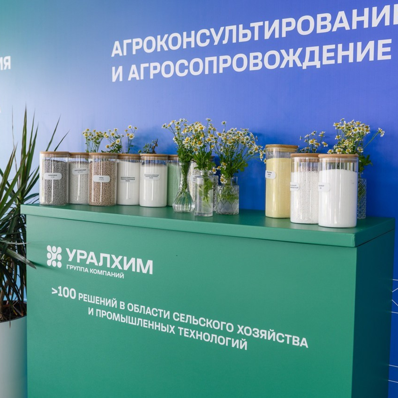 Отзывы. Профессиональный фотограф Вячеслав Плацында | Липецк |