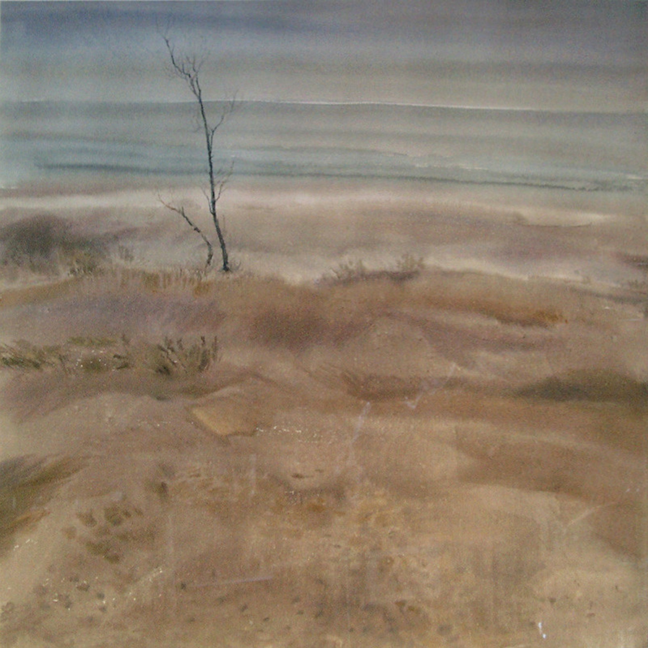 СВЕТЛАЯ СТОРОНА ЗЕМЛИ