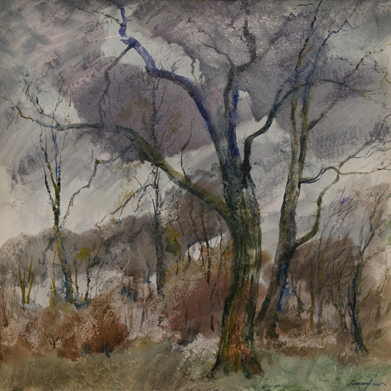 СВЕТЛАЯ СТОРОНА ЗЕМЛИ