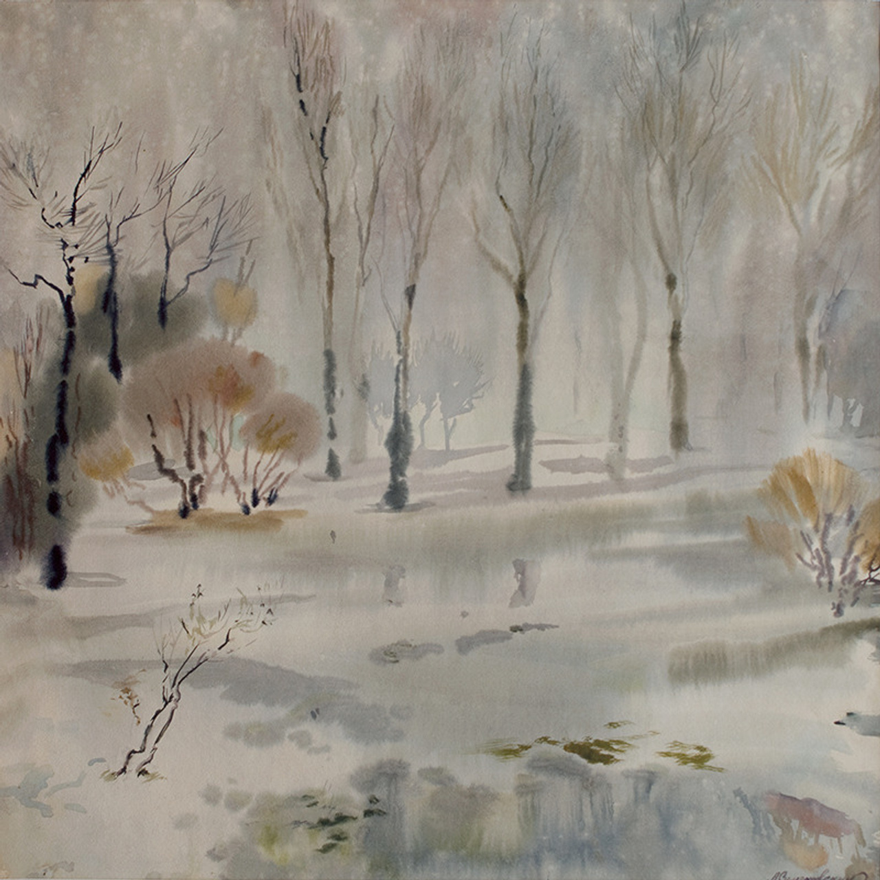 СВЕТЛАЯ СТОРОНА ЗЕМЛИ