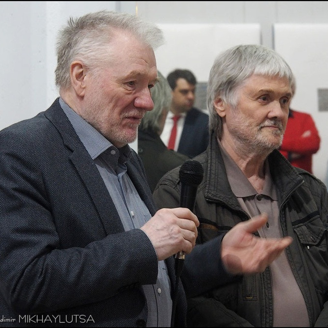 Вячеслав Михайлов «Не подражая природе»