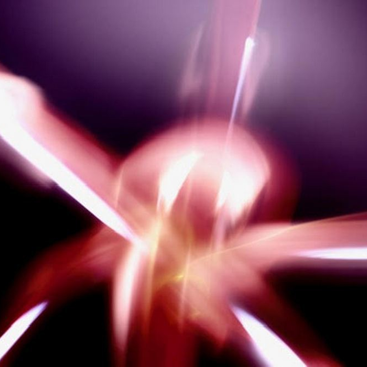 Люсинэ Брайтшайдель художник фотограф люминограф