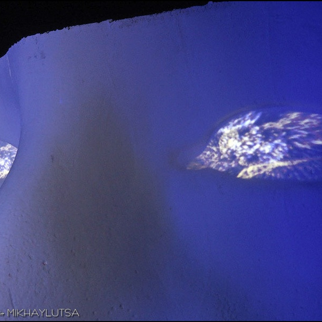 САД СНОВИДЕНИЙ - Люминография - luminografia.ru