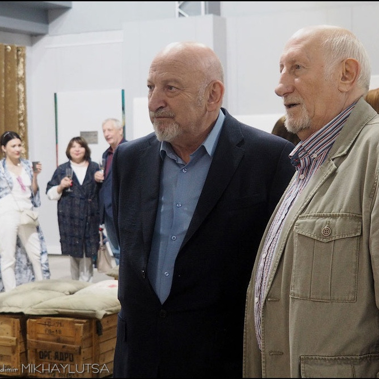 Вячеслав Михайлов «Не подражая природе»