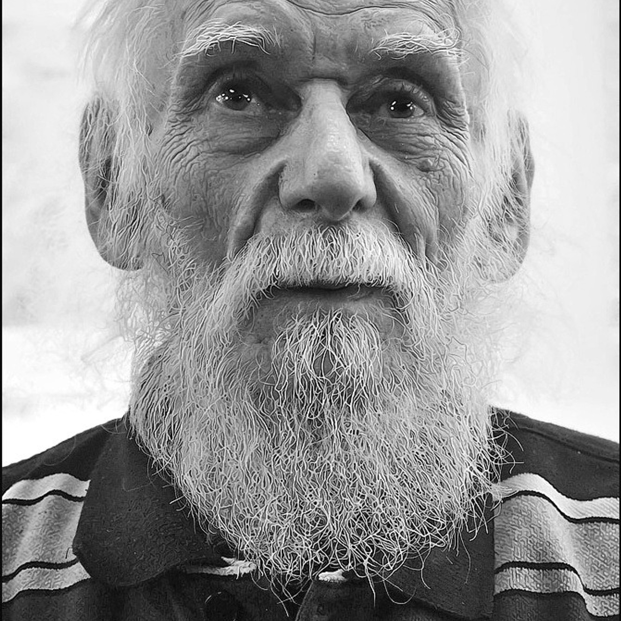 СВЕТЛАЯ СТОРОНА ЗЕМЛИ