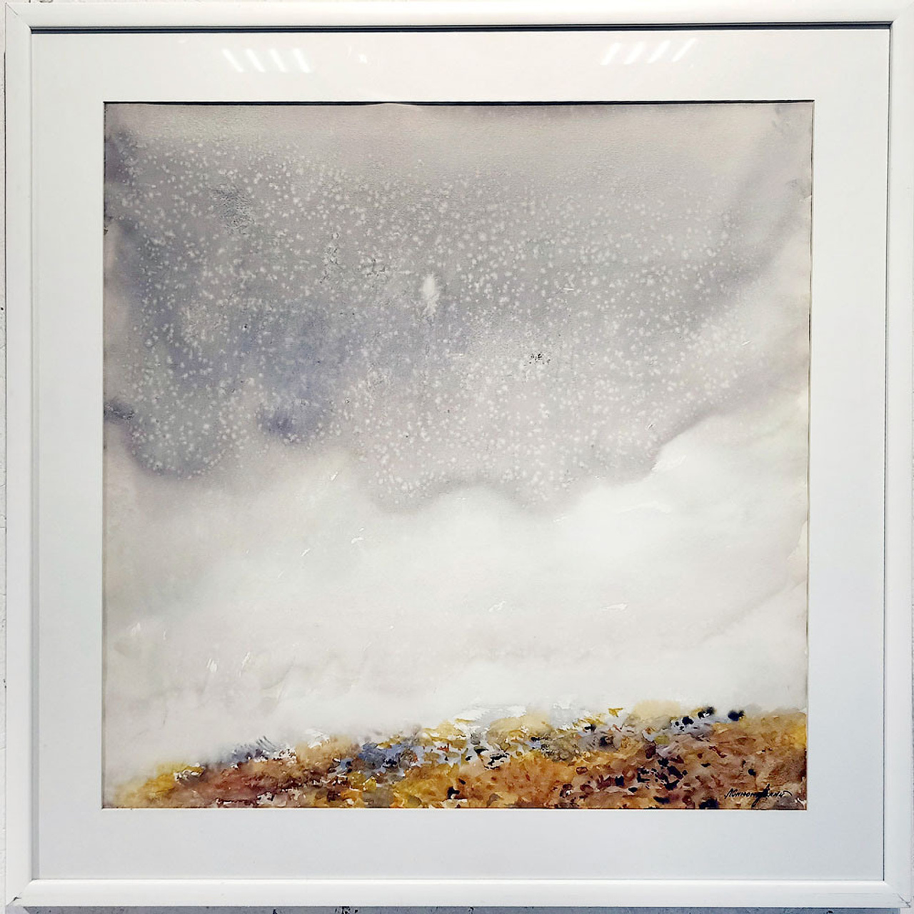 СВЕТЛАЯ СТОРОНА ЗЕМЛИ