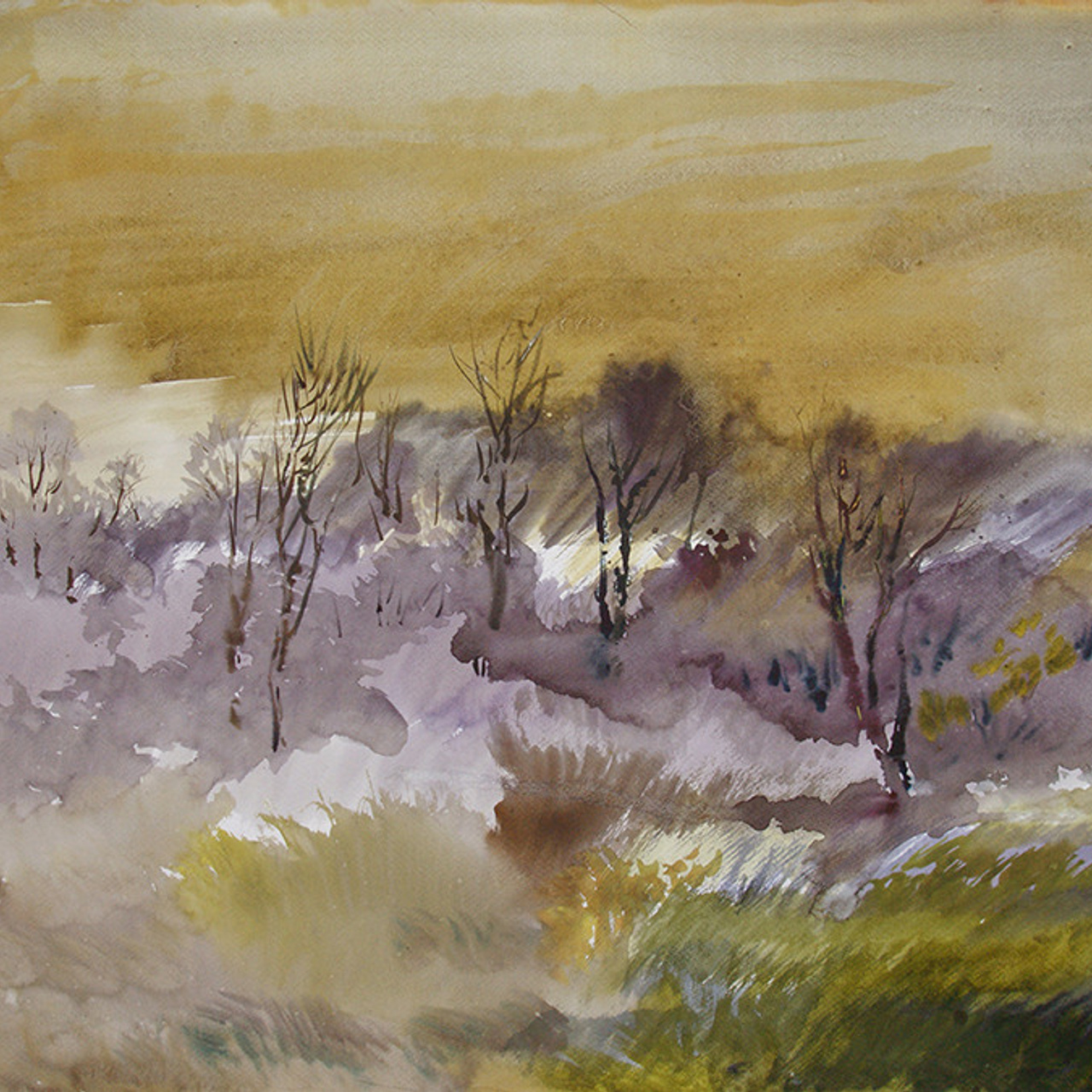 СВЕТЛАЯ СТОРОНА ЗЕМЛИ