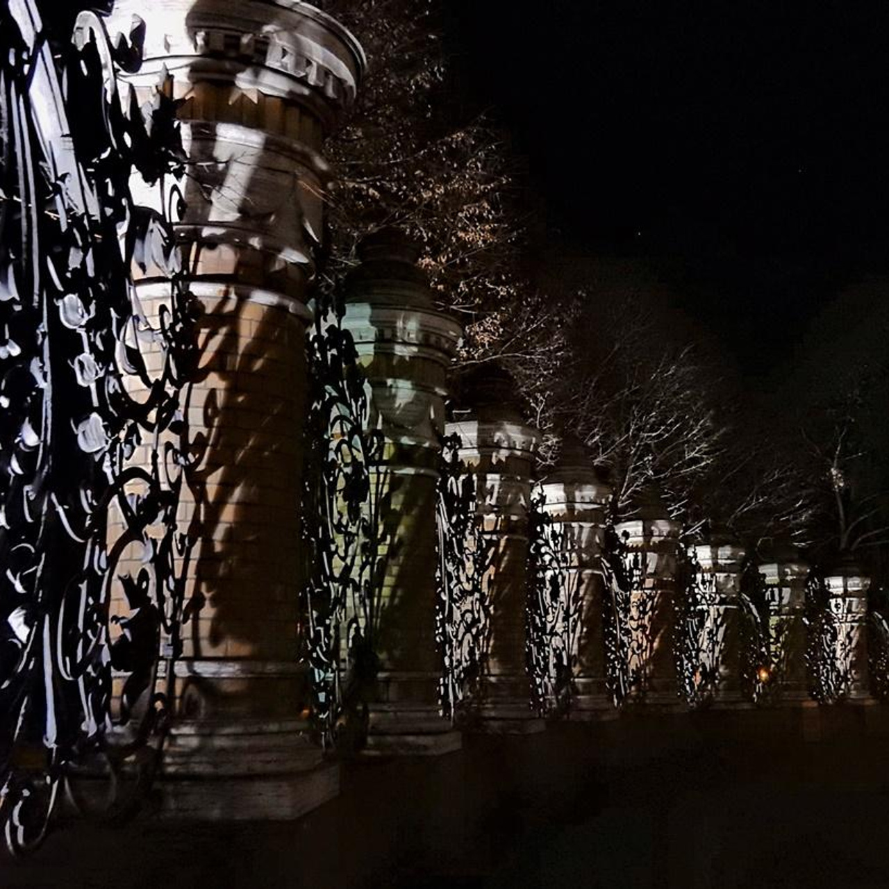 Елена Гуляева