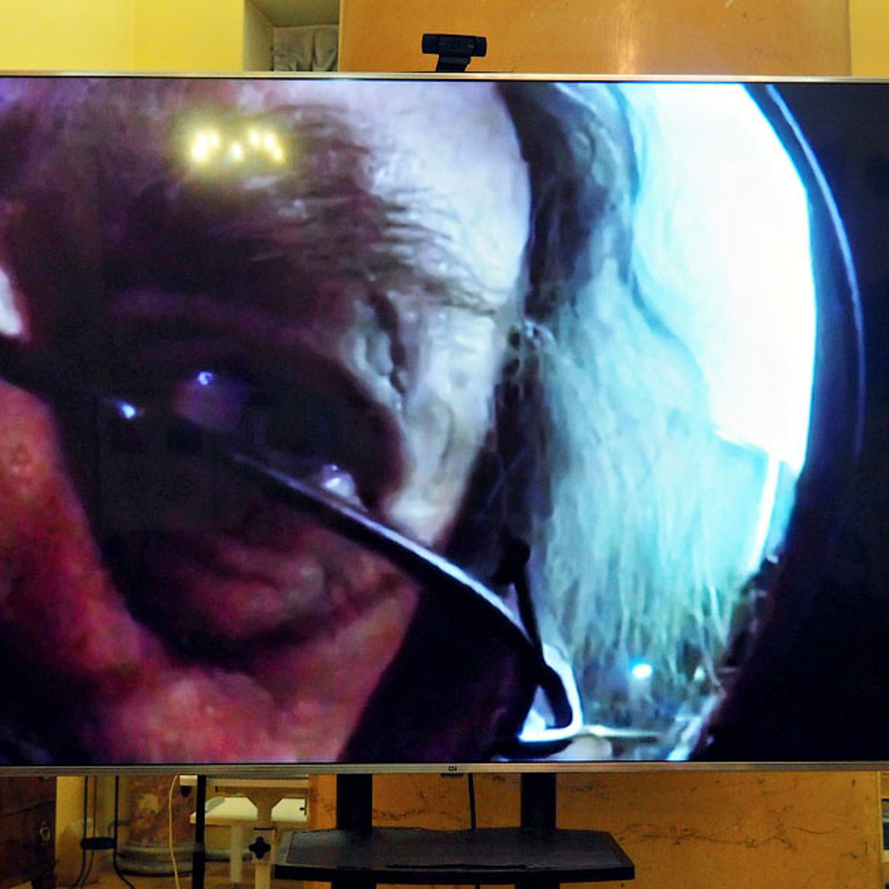 АНЯ В СТРАНЕ ЧУДЕС - Люминография - luminografia.ru