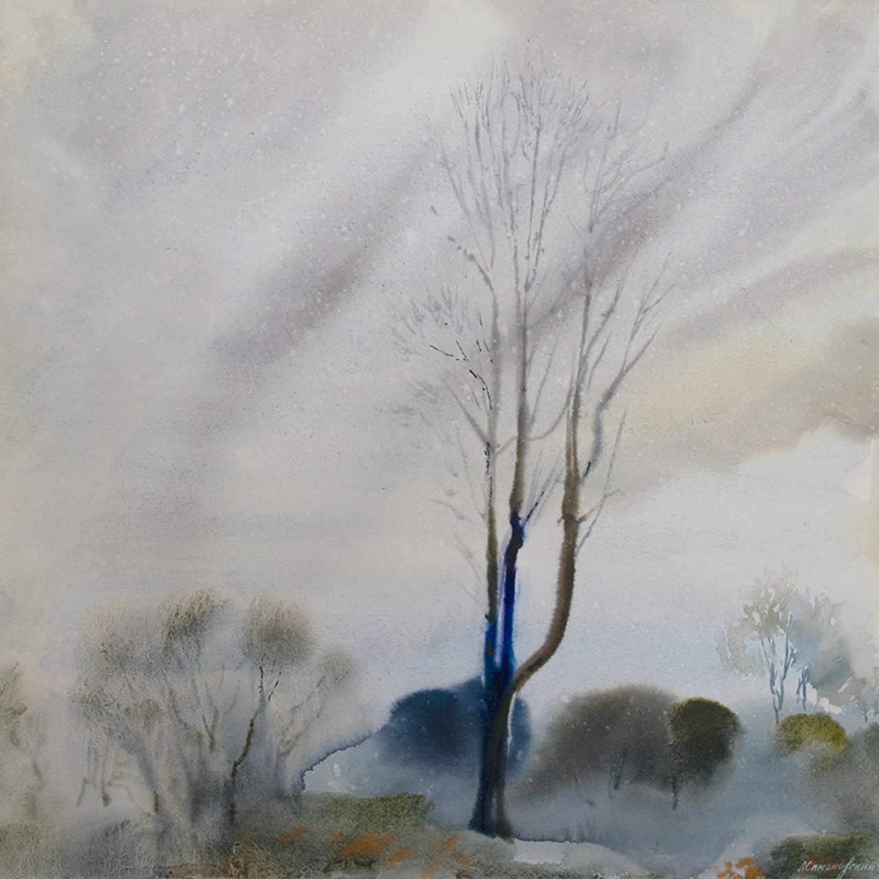 СВЕТЛАЯ СТОРОНА ЗЕМЛИ