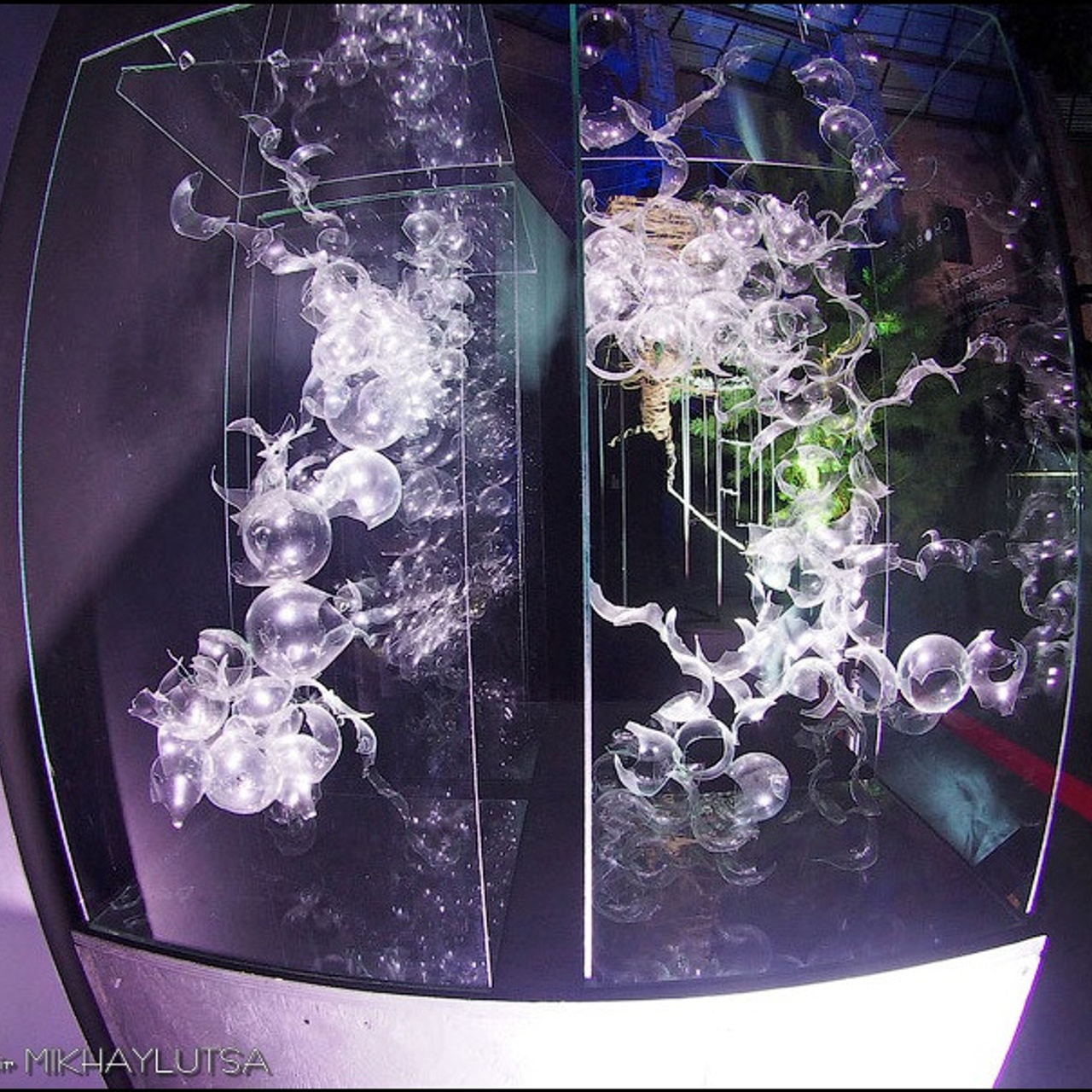 САД СНОВИДЕНИЙ - Люминография - luminografia.ru