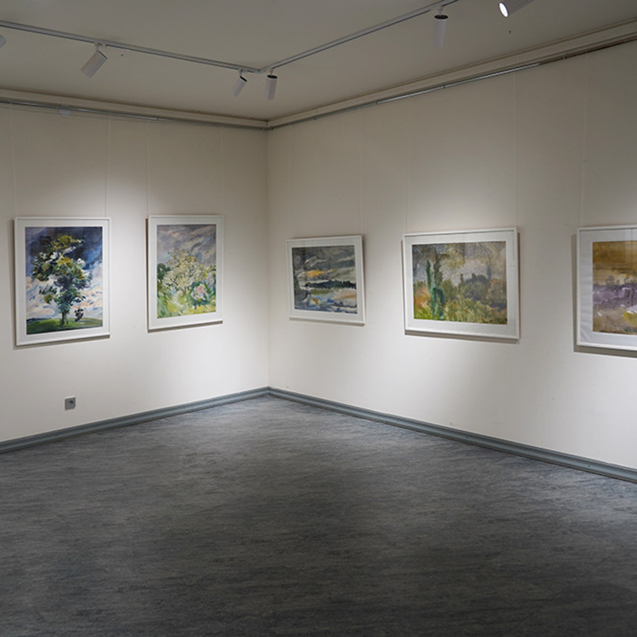 СВЕТЛАЯ СТОРОНА ЗЕМЛИ