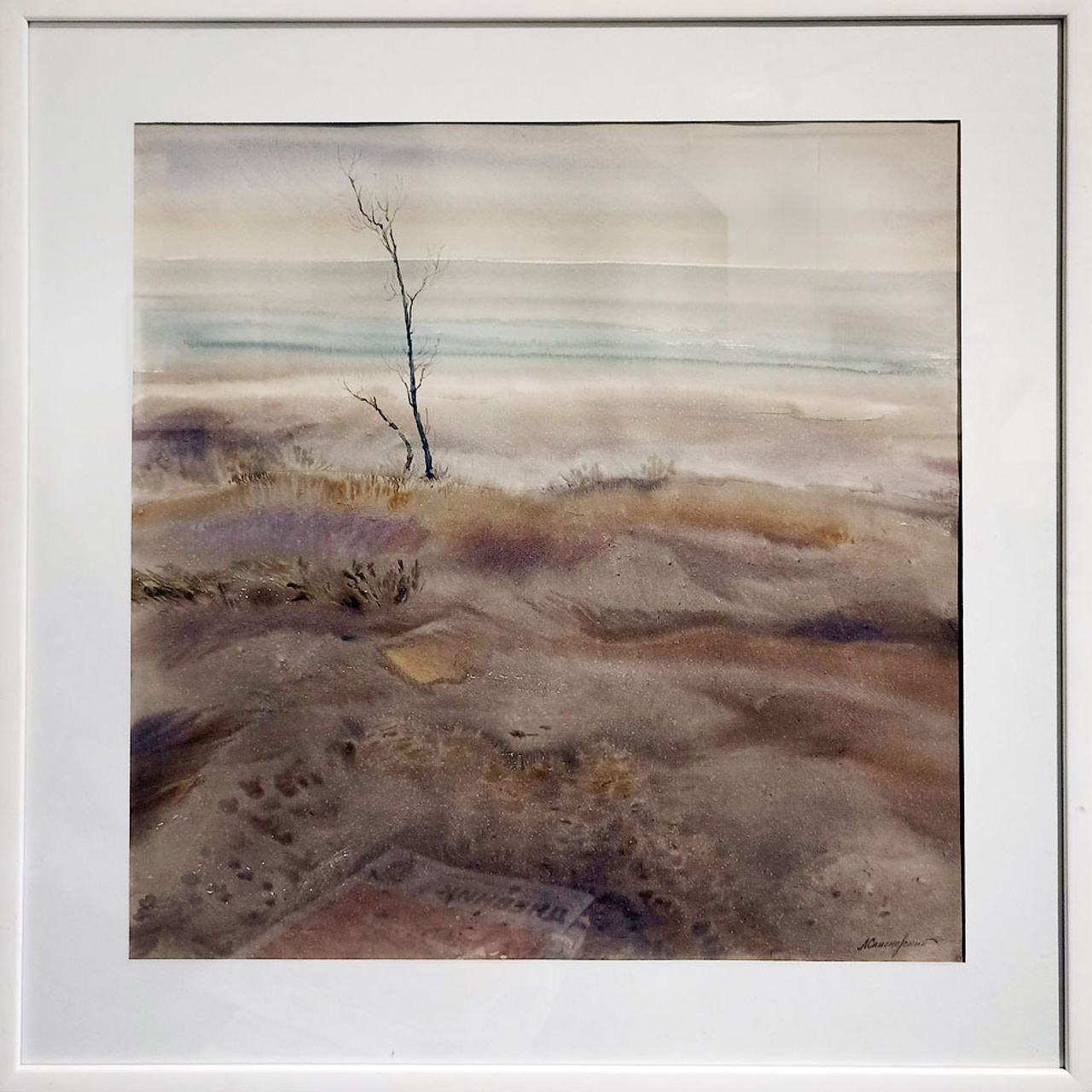 СВЕТЛАЯ СТОРОНА ЗЕМЛИ