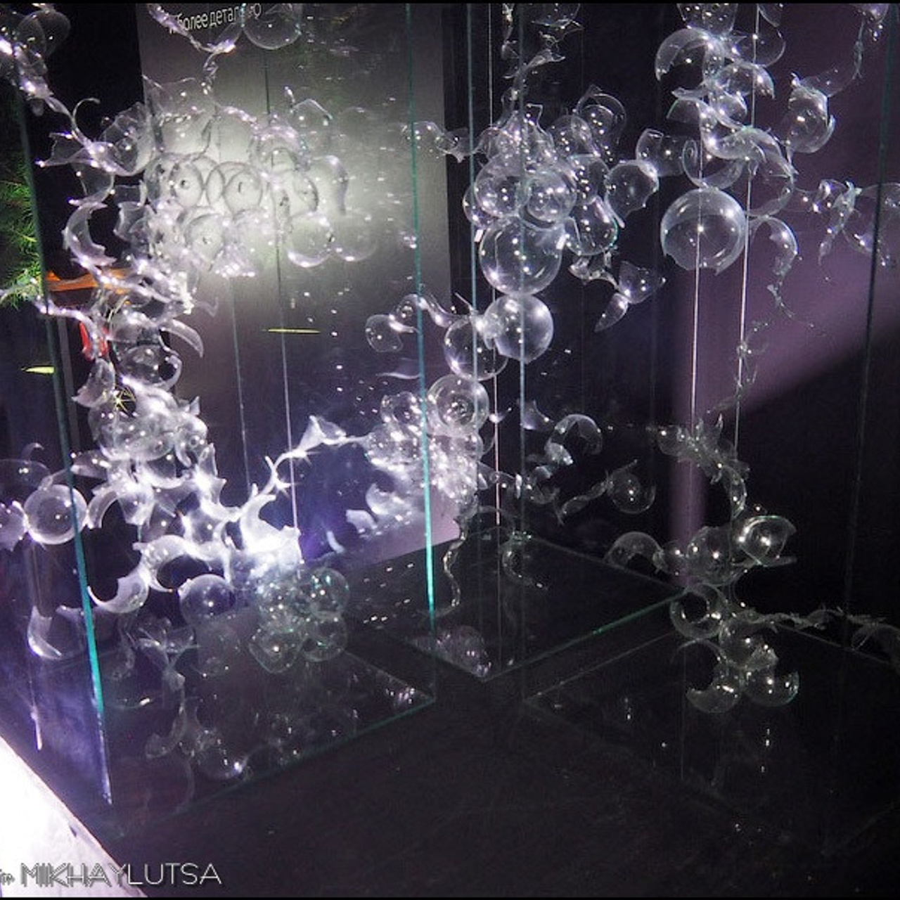 САД СНОВИДЕНИЙ - Люминография - luminografia.ru