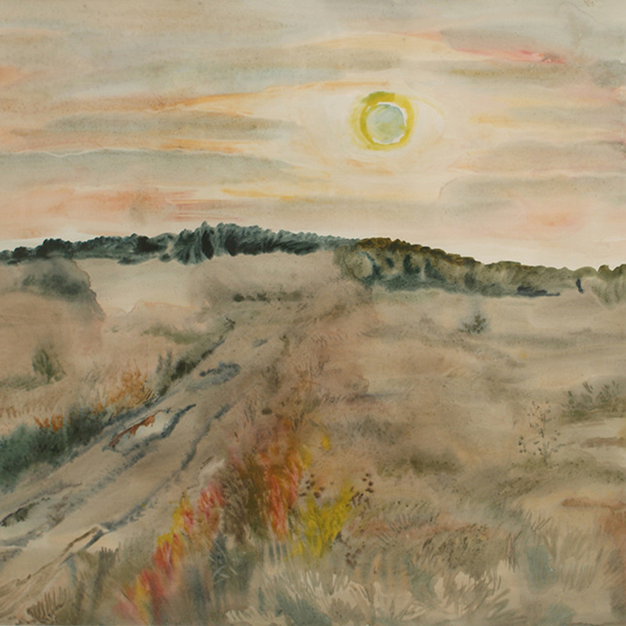 СВЕТЛАЯ СТОРОНА ЗЕМЛИ