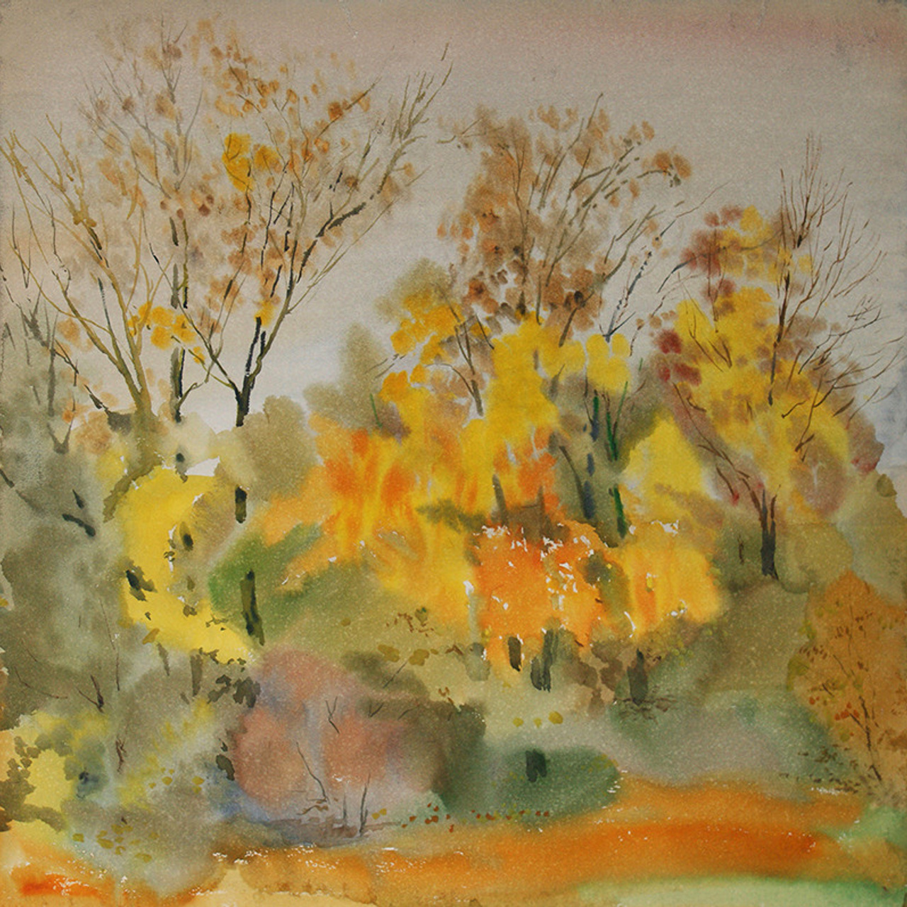 СВЕТЛАЯ СТОРОНА ЗЕМЛИ