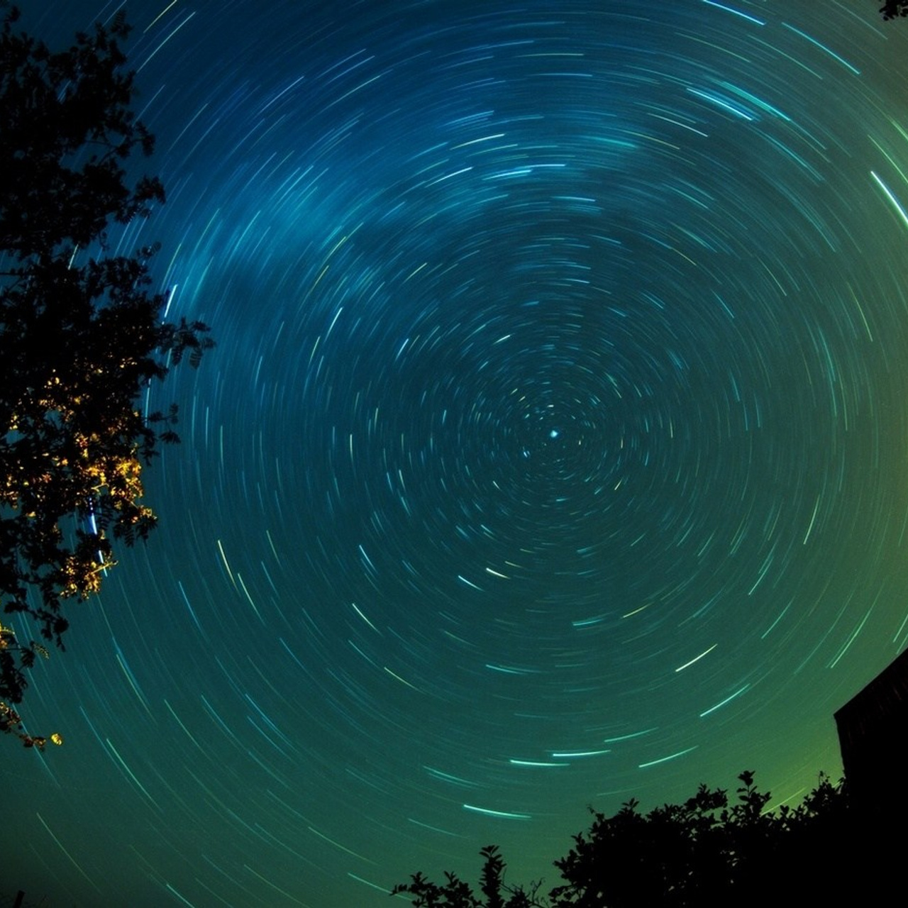 Алексей Казачок