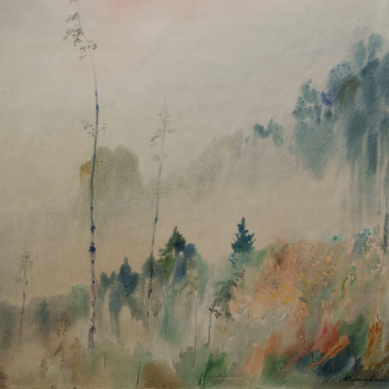 СВЕТЛАЯ СТОРОНА ЗЕМЛИ