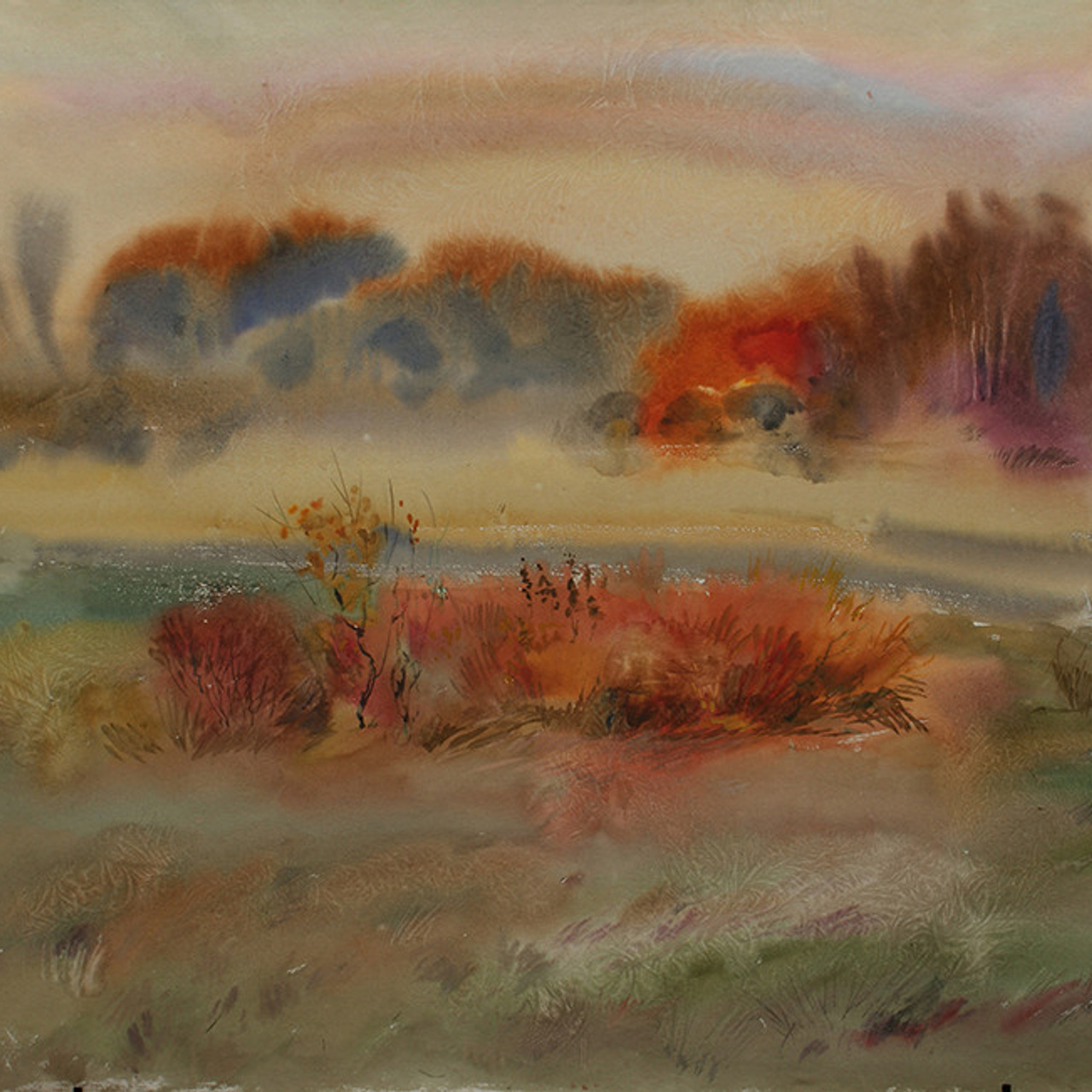 СВЕТЛАЯ СТОРОНА ЗЕМЛИ