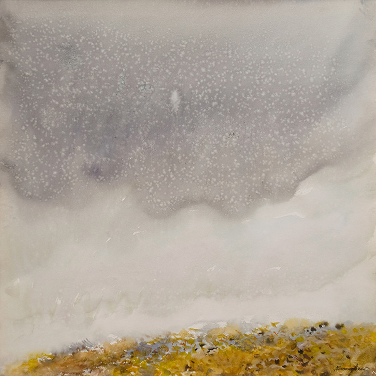 СВЕТЛАЯ СТОРОНА ЗЕМЛИ