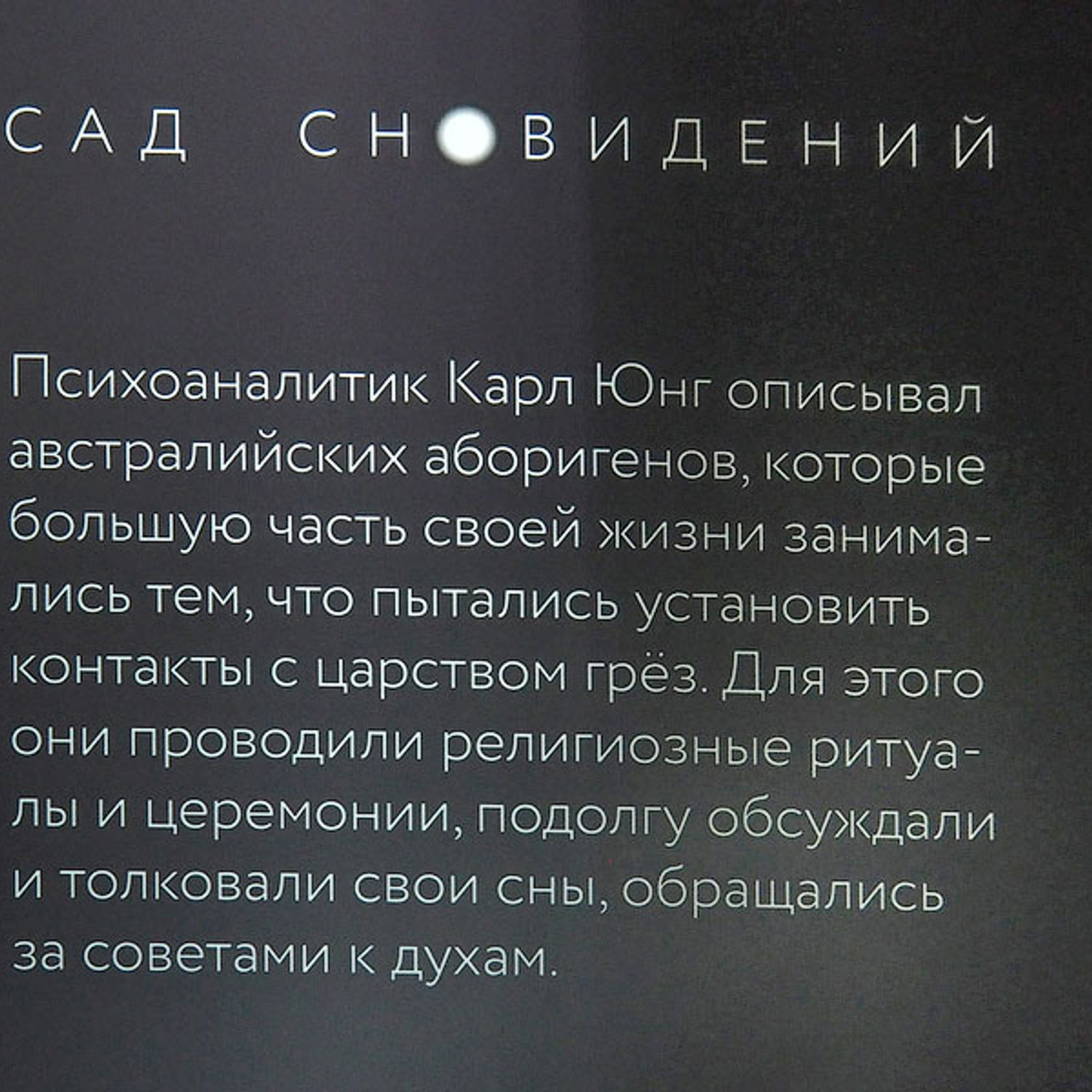 САД СНОВИДЕНИЙ - Люминография - luminografia.ru