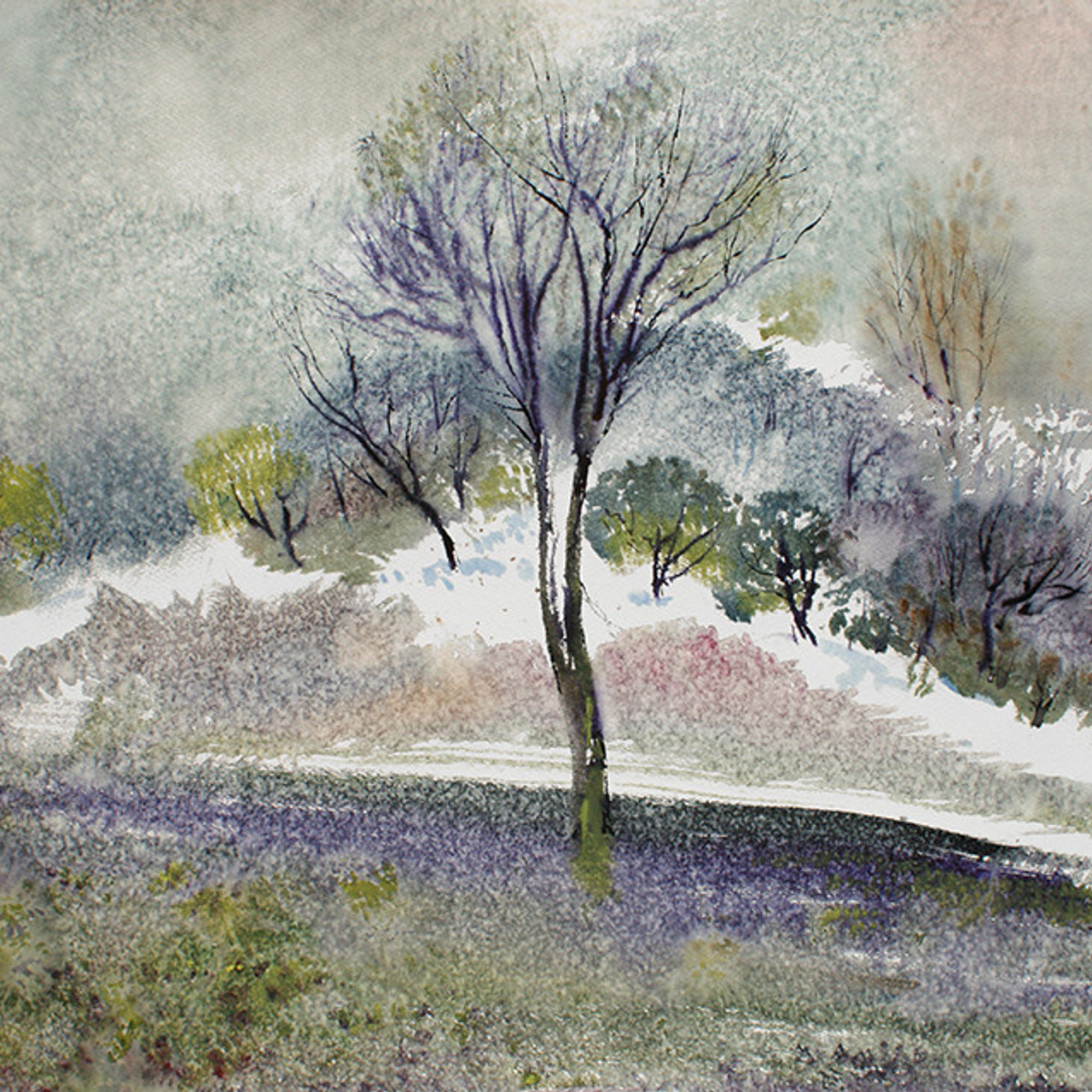 СВЕТЛАЯ СТОРОНА ЗЕМЛИ