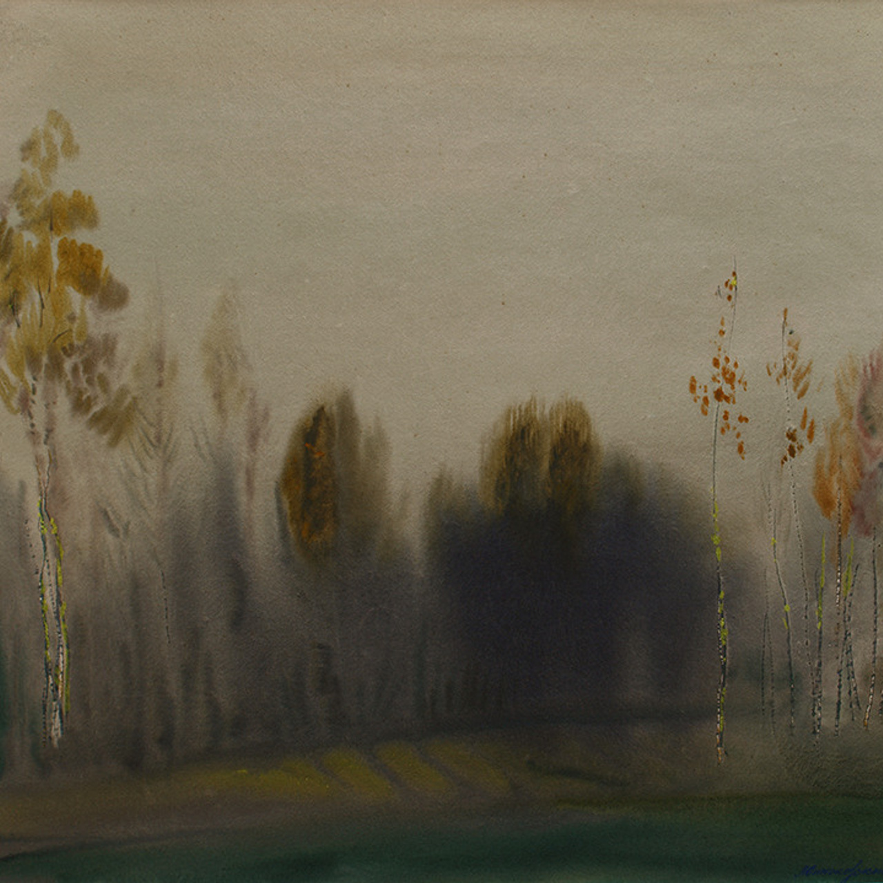 СВЕТЛАЯ СТОРОНА ЗЕМЛИ