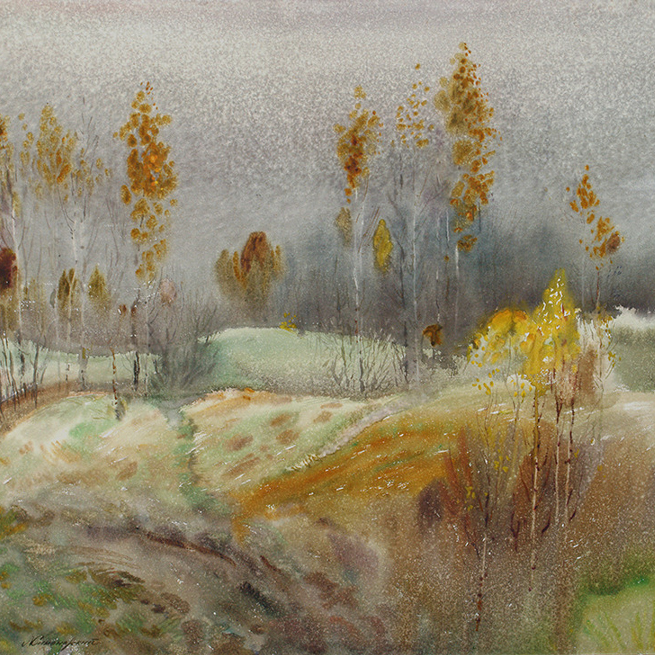 СВЕТЛАЯ СТОРОНА ЗЕМЛИ