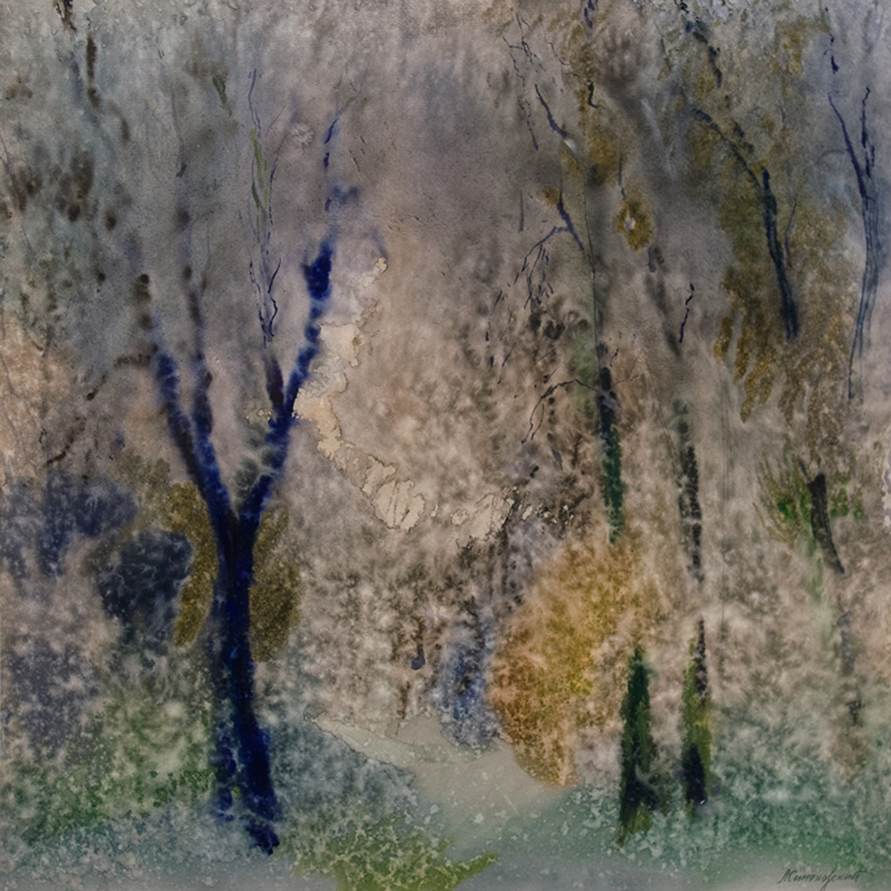 СВЕТЛАЯ СТОРОНА ЗЕМЛИ