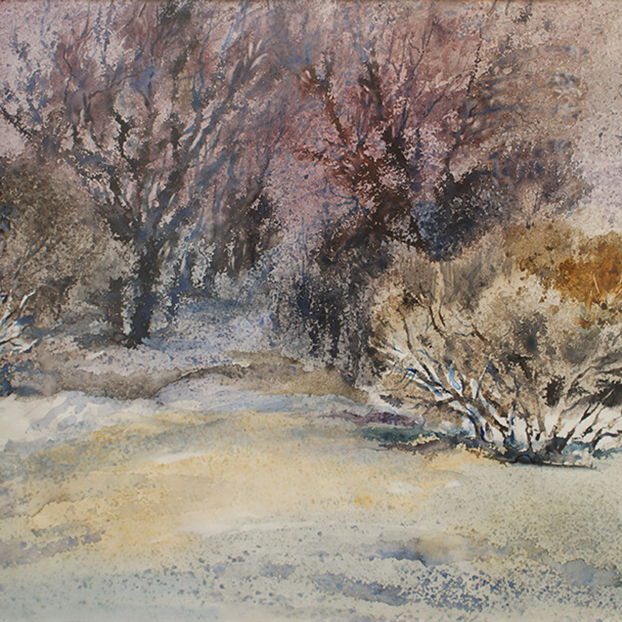 СВЕТЛАЯ СТОРОНА ЗЕМЛИ