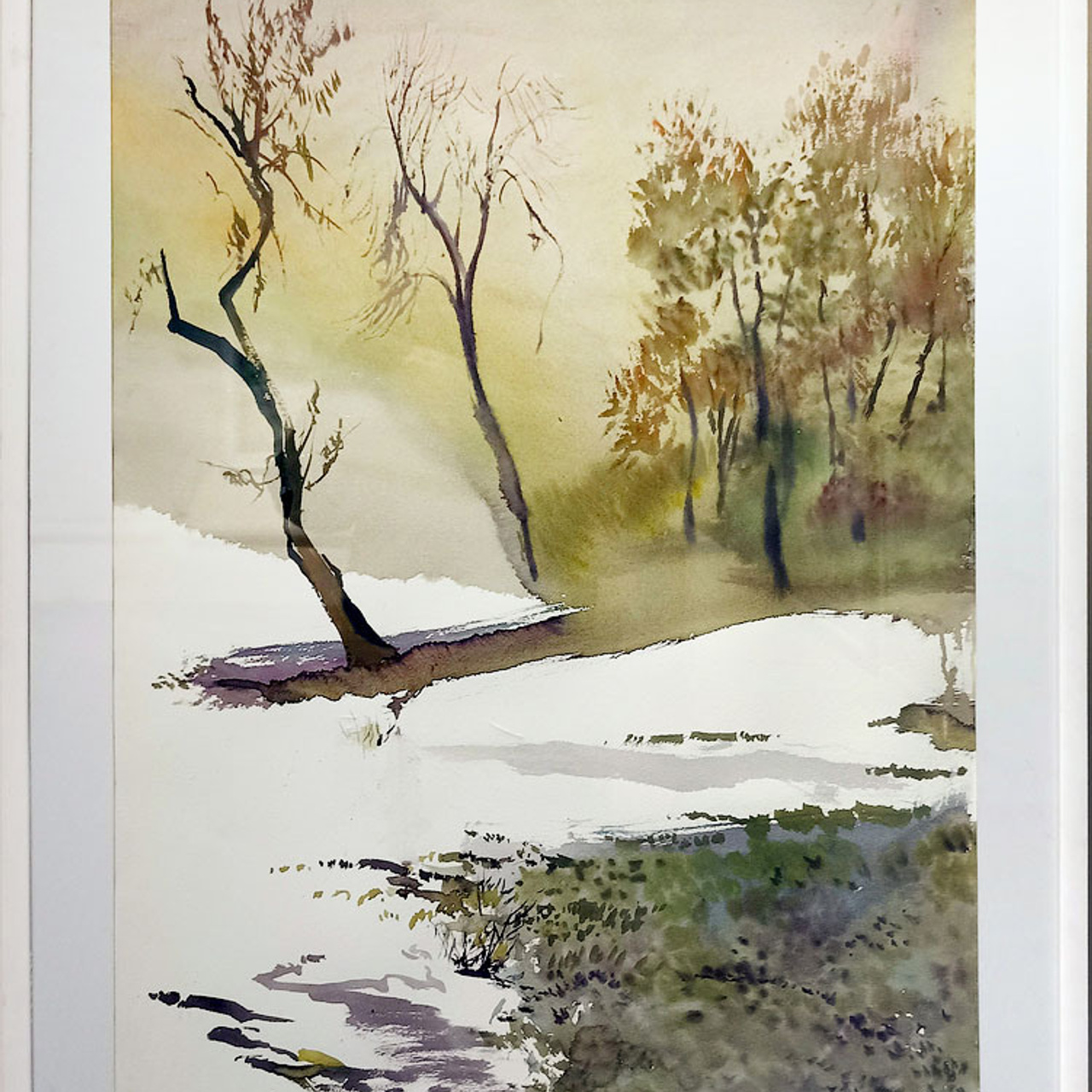 СВЕТЛАЯ СТОРОНА ЗЕМЛИ