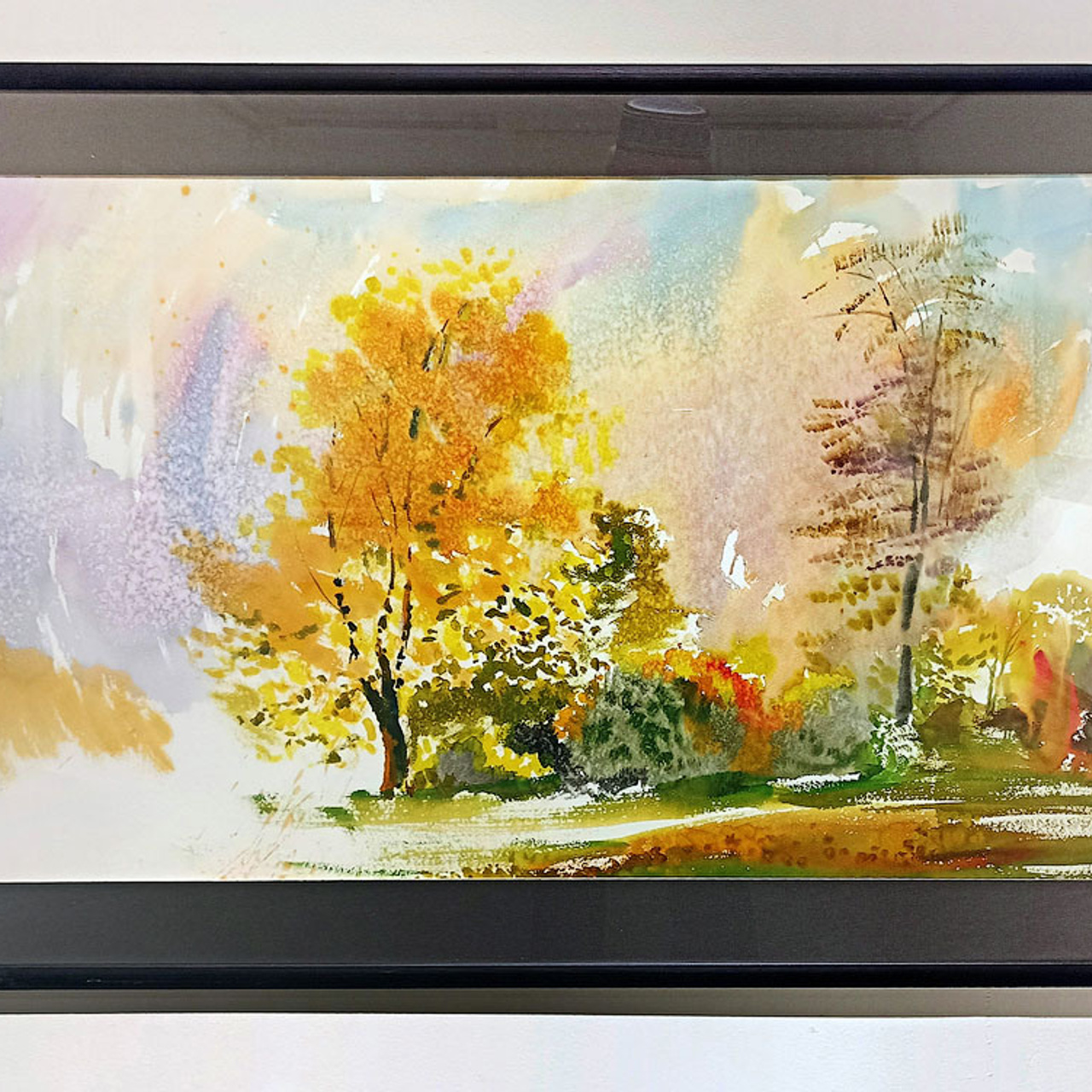 СВЕТЛАЯ СТОРОНА ЗЕМЛИ