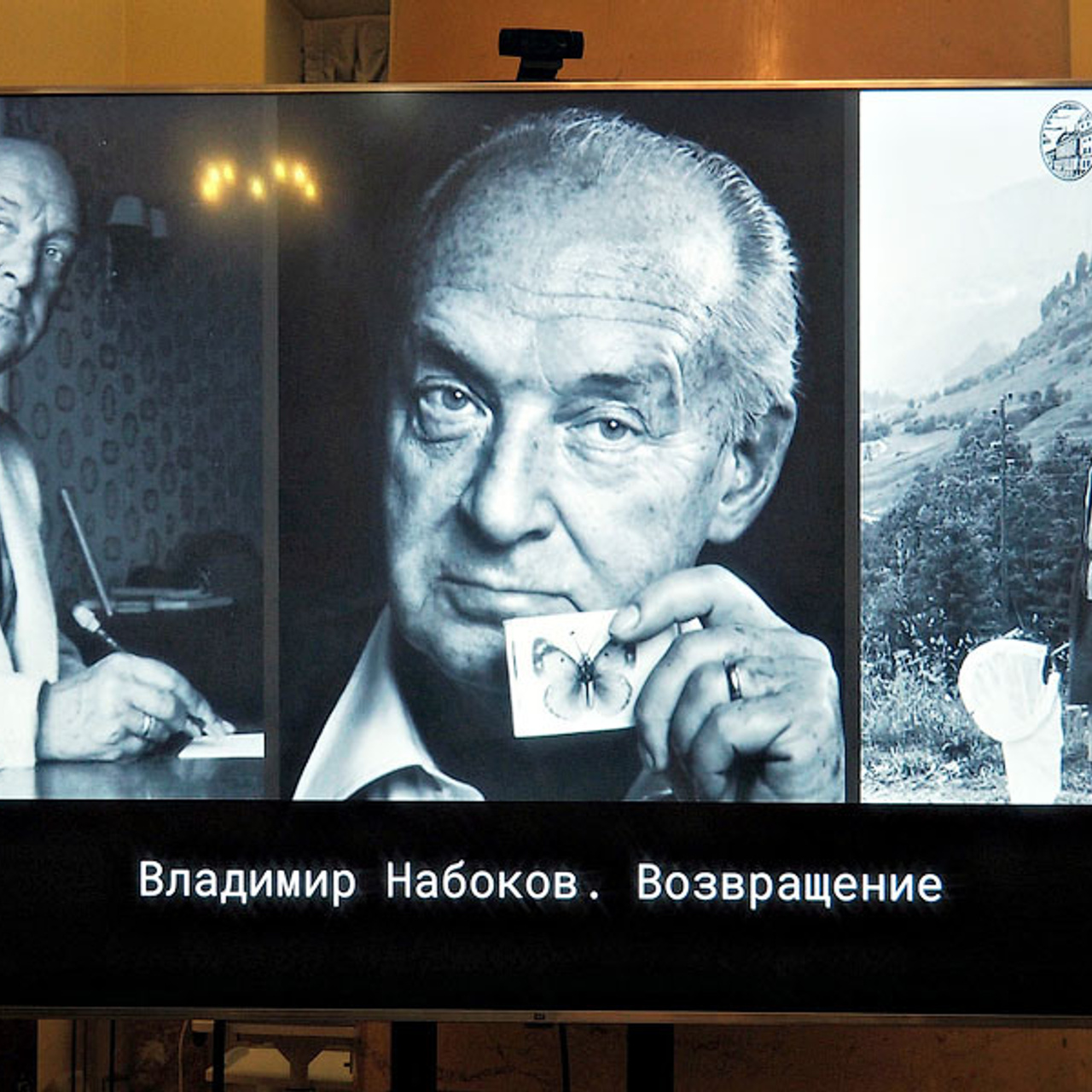 АНЯ В СТРАНЕ ЧУДЕС - Люминография - luminografia.ru