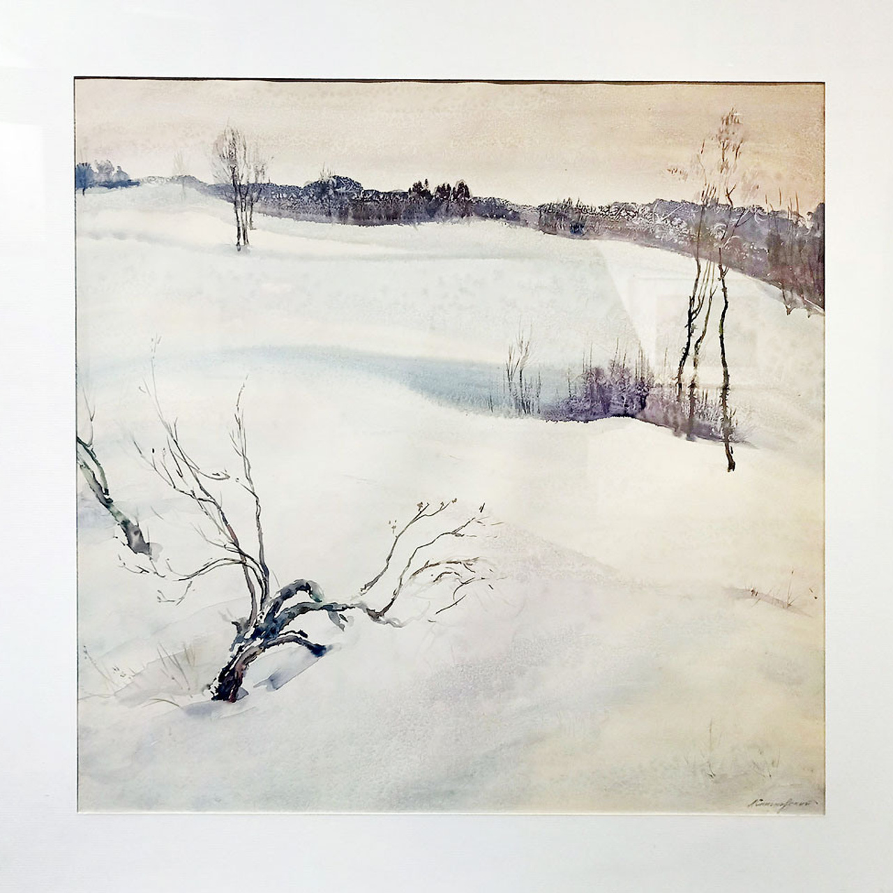 СВЕТЛАЯ СТОРОНА ЗЕМЛИ