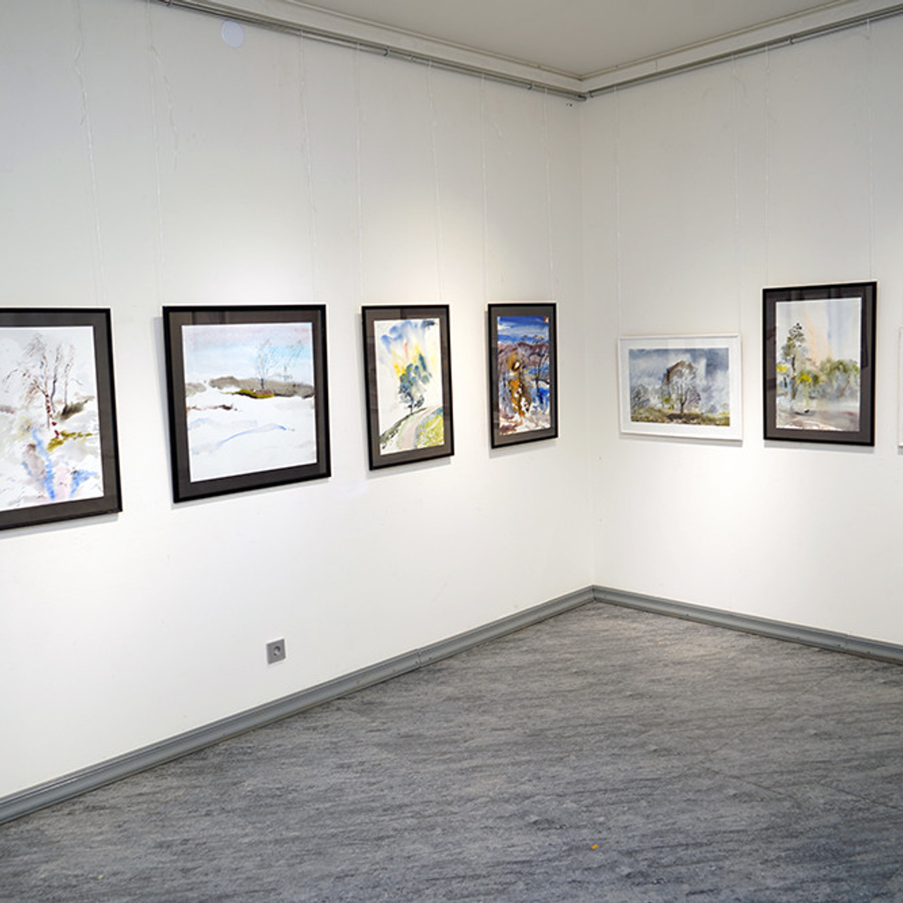 СВЕТЛАЯ СТОРОНА ЗЕМЛИ